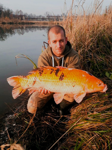 Prezentace a rezervační systém rybníku Rosed